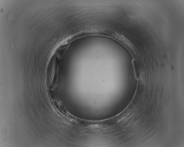 X0000067950724200605041825