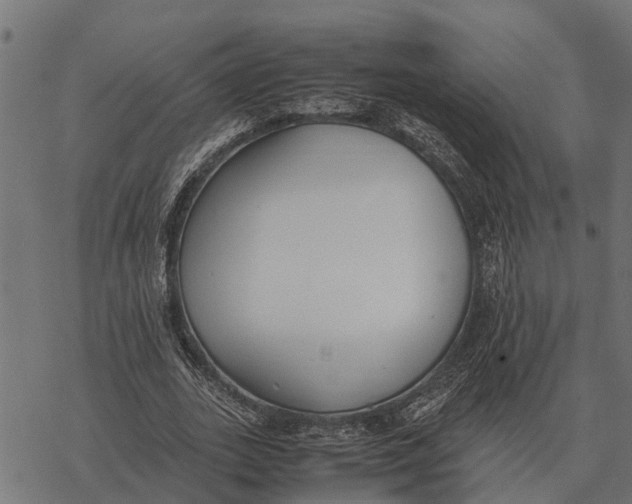 X0000067950727200605041825