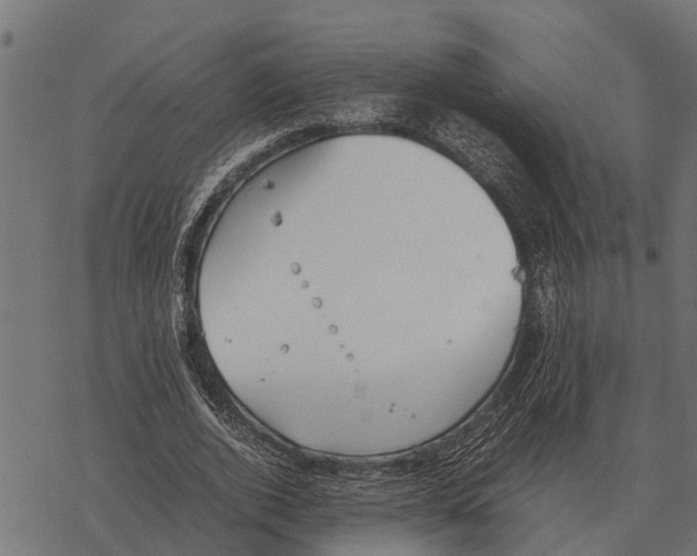 X0000067950728200605041825