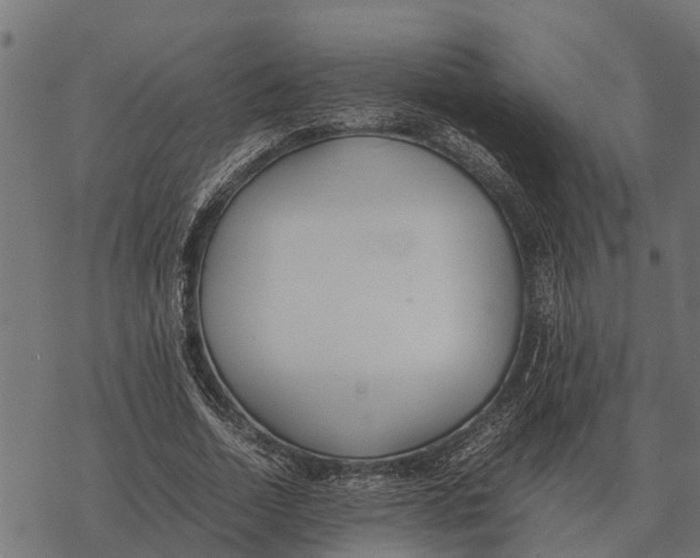 X0000067950730200605041825