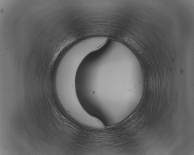 X0000067950731200605041825