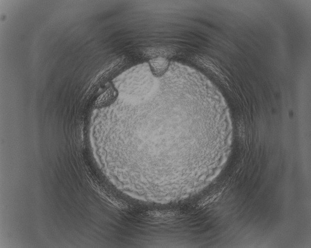 X0000067950733200605041825