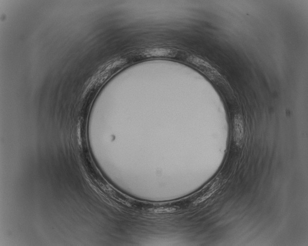 X0000067950734200605041825