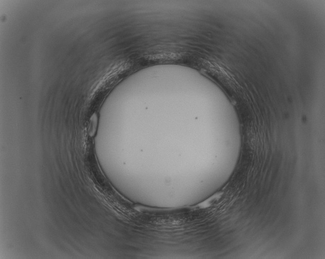 X0000067950735200605041825