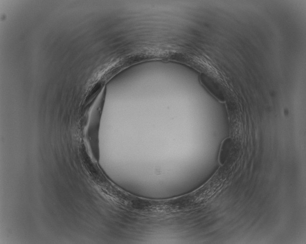 X0000067950736200605041825