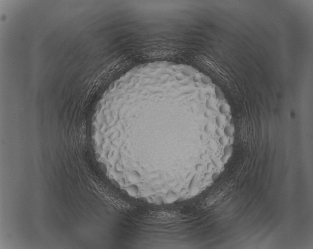 X0000067950737200605041825