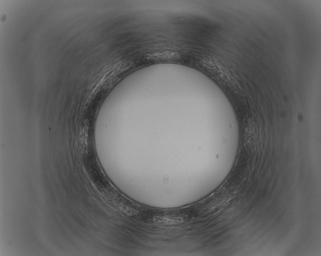 X0000067950739200605041825