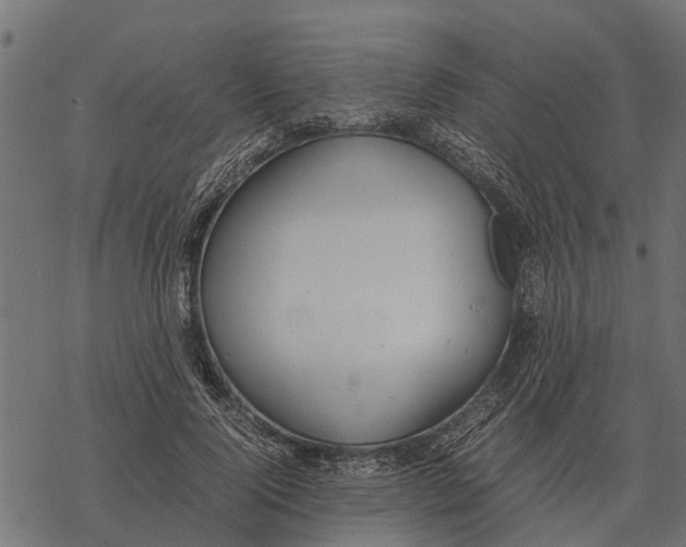 X0000067950740200605041825