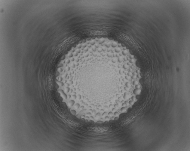 X0000067950741200605041825