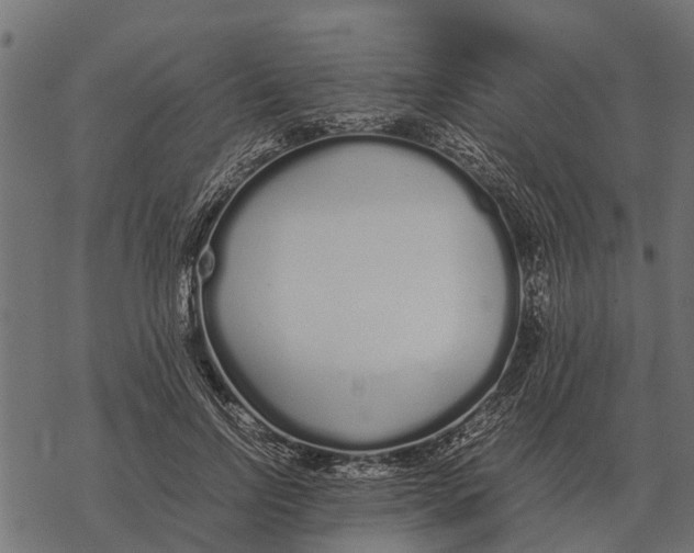 X0000067950742200605041825