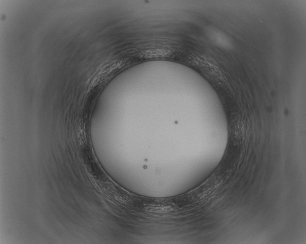 X0000067950743200605041825