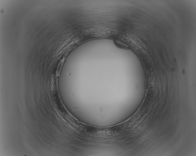 X0000067950744200605041825