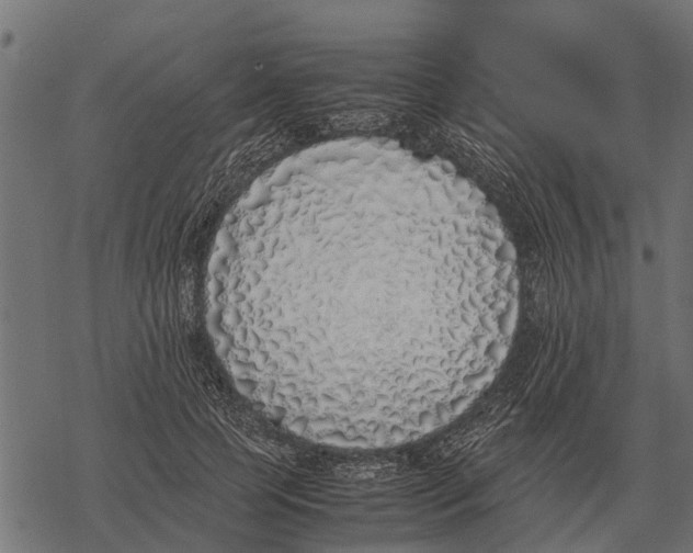 X0000067950745200605041825