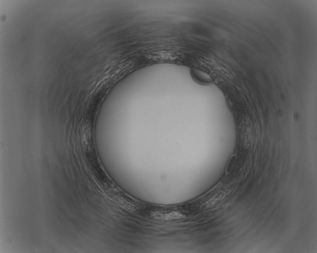 X0000067950747200605041825