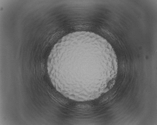 X0000067950749200605041825