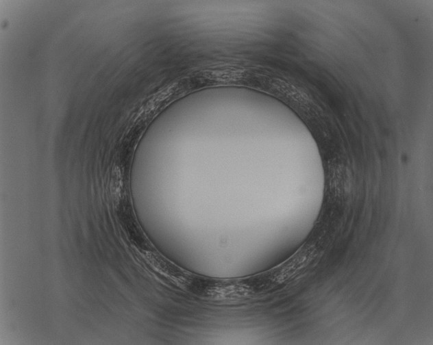 X0000067950752200605041825