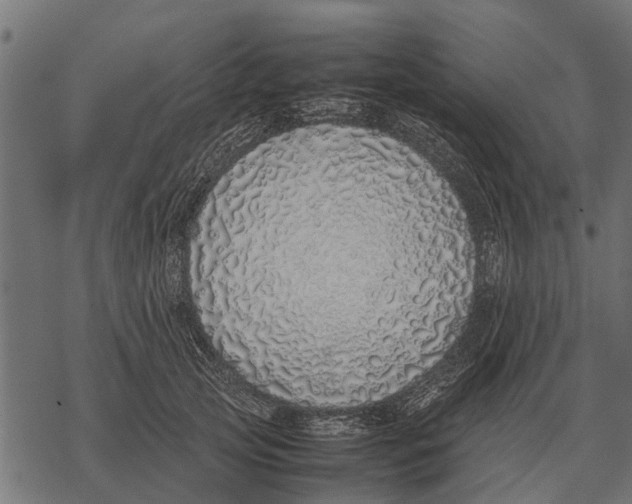 X0000067950753200605041825