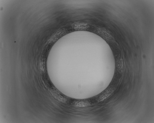 X0000067950755200605041825