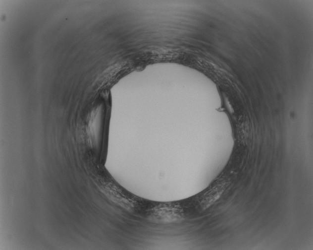 X0000067950756200605041825