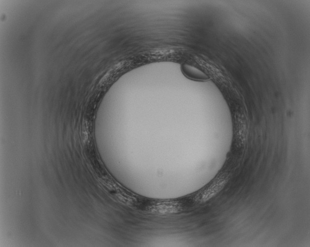 X0000067950758200605041825