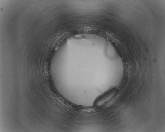 X0000067950760200605041825