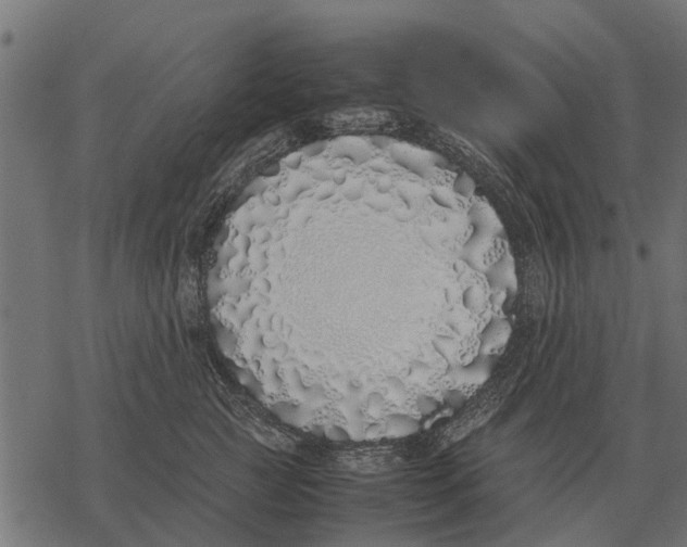 X0000067950761200605041825