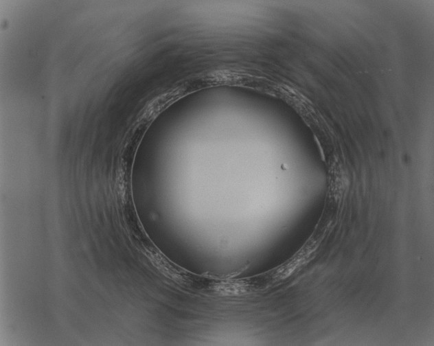 X0000067950762200605041825