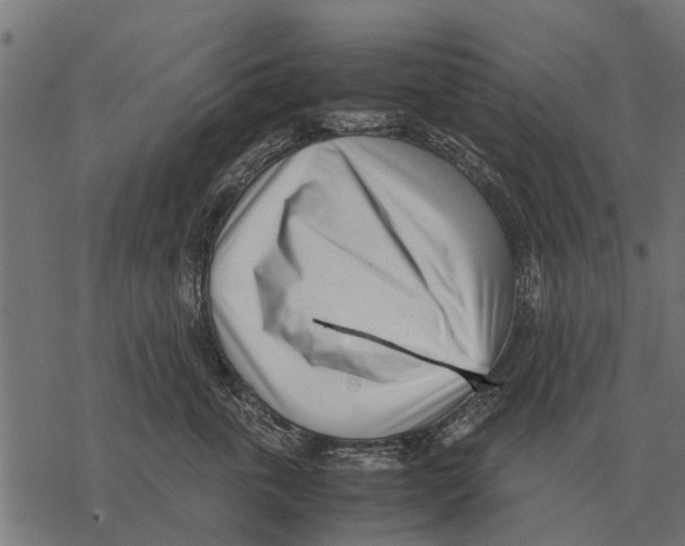 X0000067950763200605041825