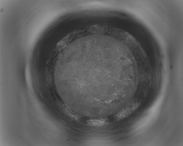 X0000067950765200605041825