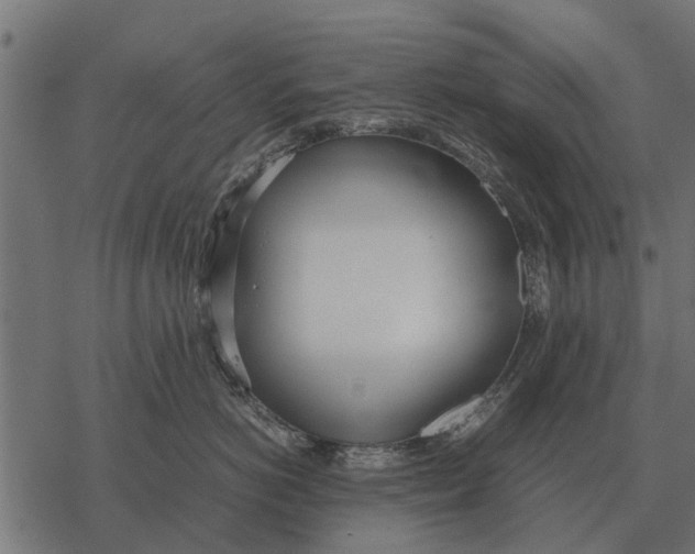 X0000067950766200605041826