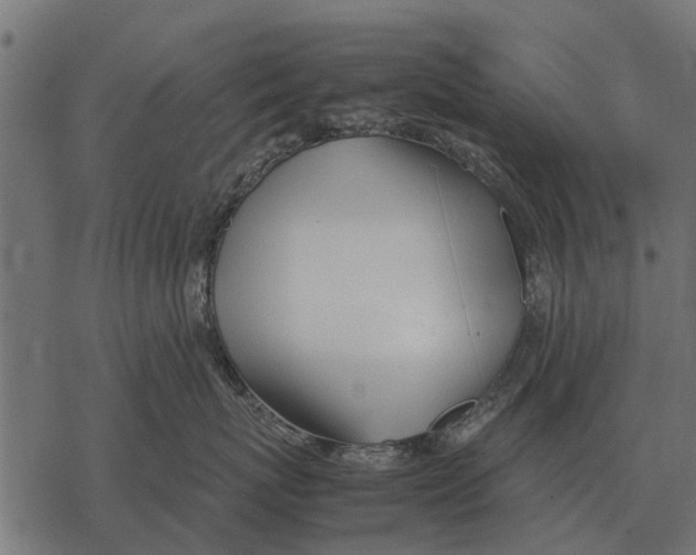 X0000067950767200605041826