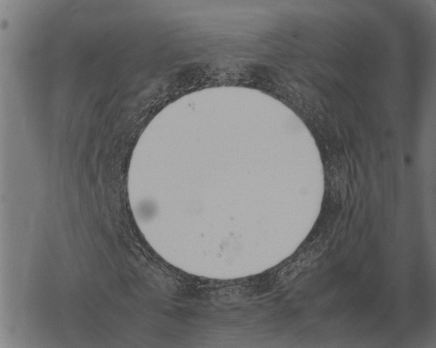 X0000067950769200605041825