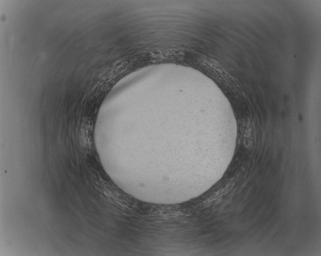 X0000067950770200605041825