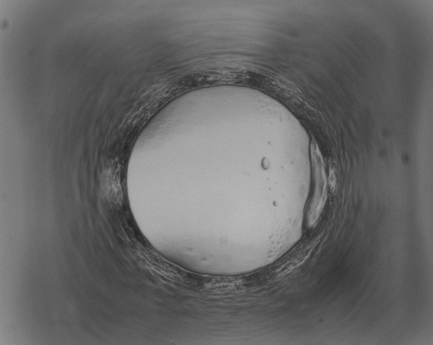 X0000067950771200605041825