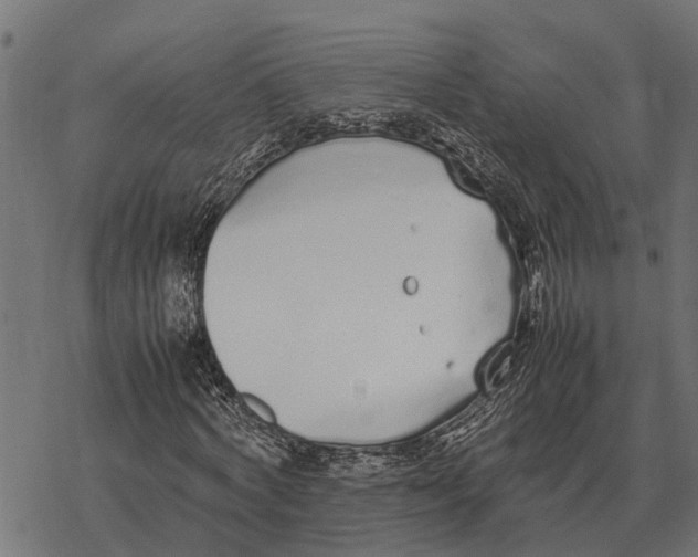 X0000067950772200605041825