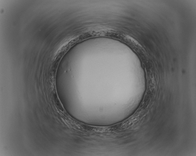 X0000067950775200605041825