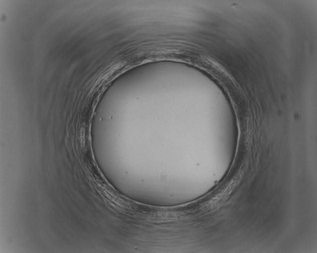 X0000067950777200605041825