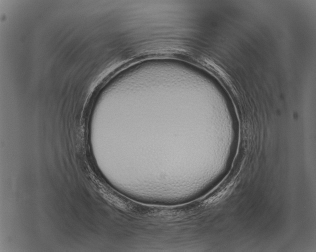 X0000067950779200605041825