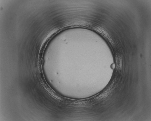 X0000067950780200605041825