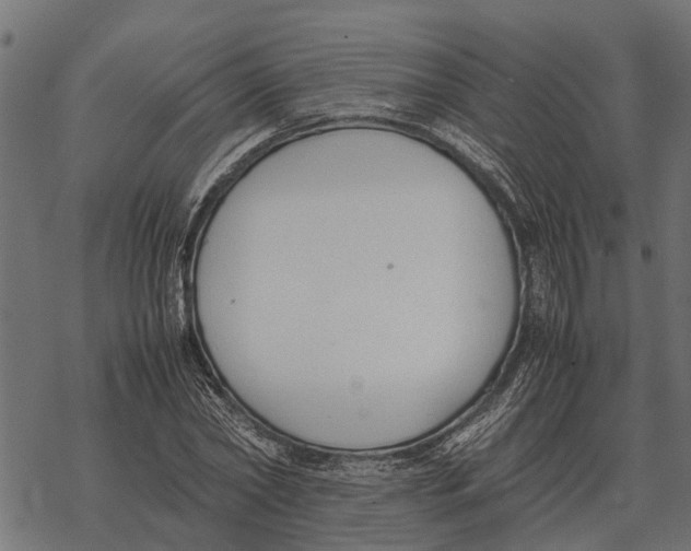 X0000067950782200605041825