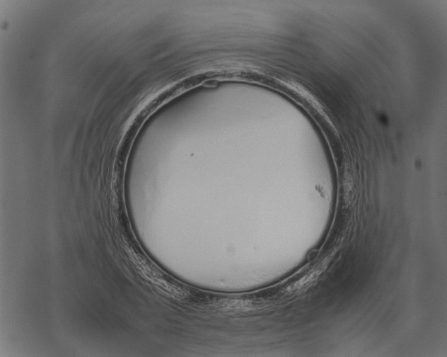 X0000067950783200605041824