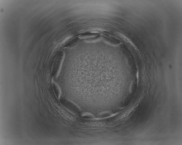 X0000067950785200605041824