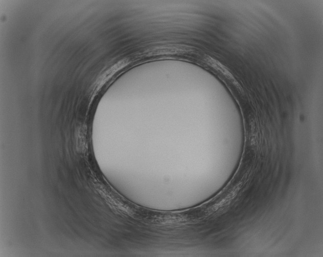 X0000067950786200605041824