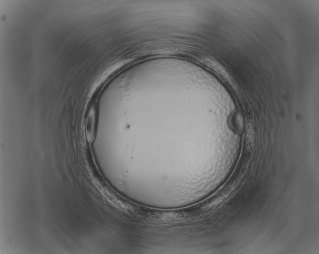 X0000067950787200605041824