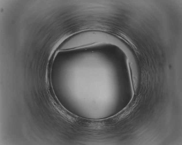 X0000067950788200605041824