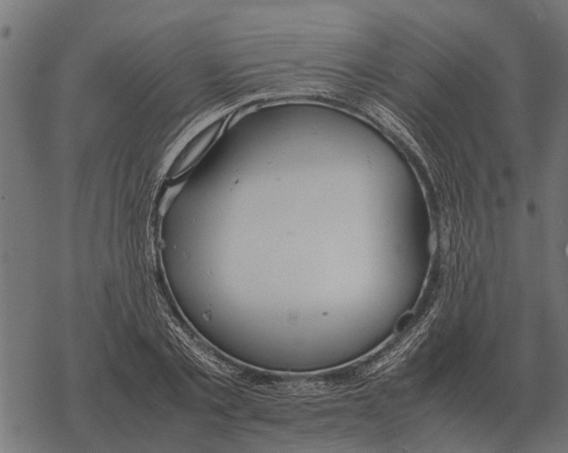 X0000067950789200605041824