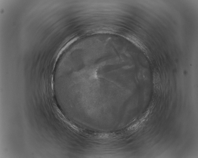 X0000067950790200605041824