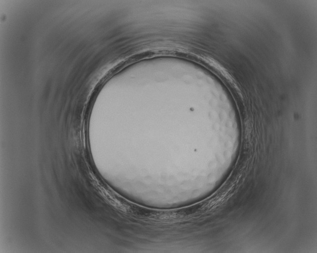 X0000067950791200605041824