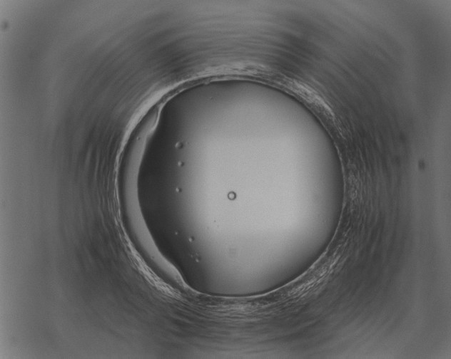 X0000067950792200605041824