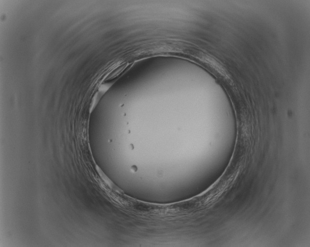 X0000067950793200605041824